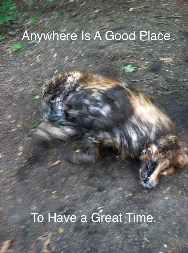 Anywhere Is A Good Place To Have a Great Time