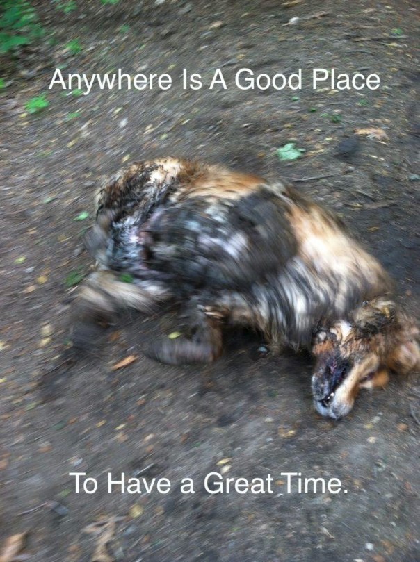 Anywhere Is A Good Place To Have a Great Time