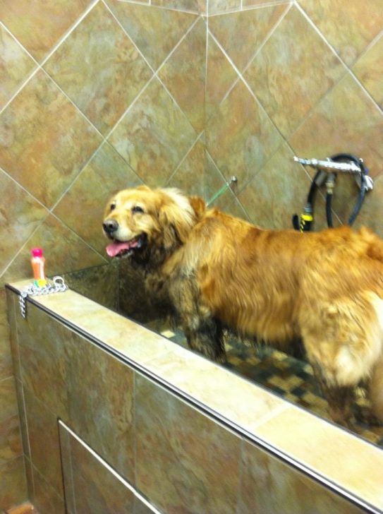 It was worth it, even if I have to have a bath now.